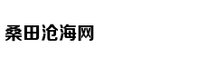 运动版有中出排气 新款思域外观
